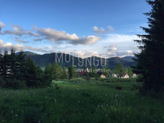 Land For sale - Primorsko-goranska Mrkopalj - foto 2/2