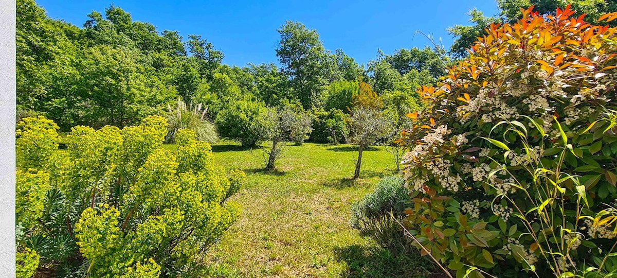 Maison À vendre - ISTARSKA MARČANA