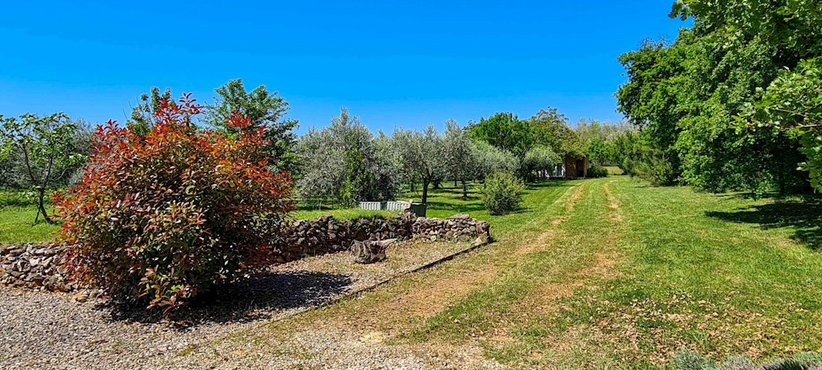 Maison À vendre - ISTARSKA MARČANA