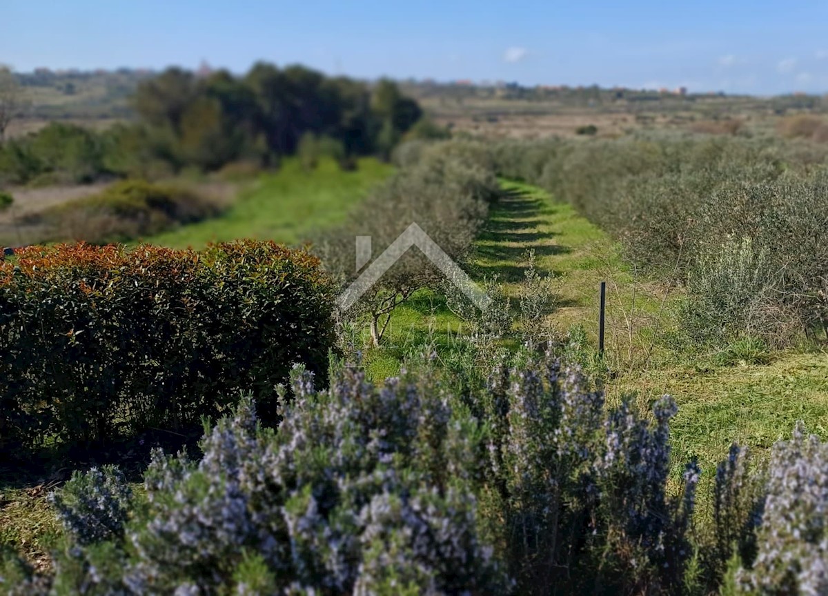 Dom Na predaj - ZADARSKA ZADAR