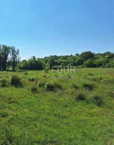 Terreno in vendita 1957 m² – Bale