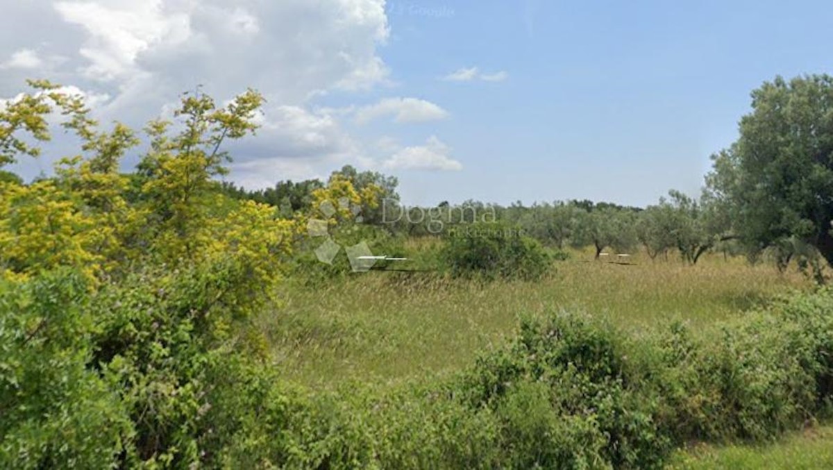 Land For sale - ISTARSKA FAŽANA
