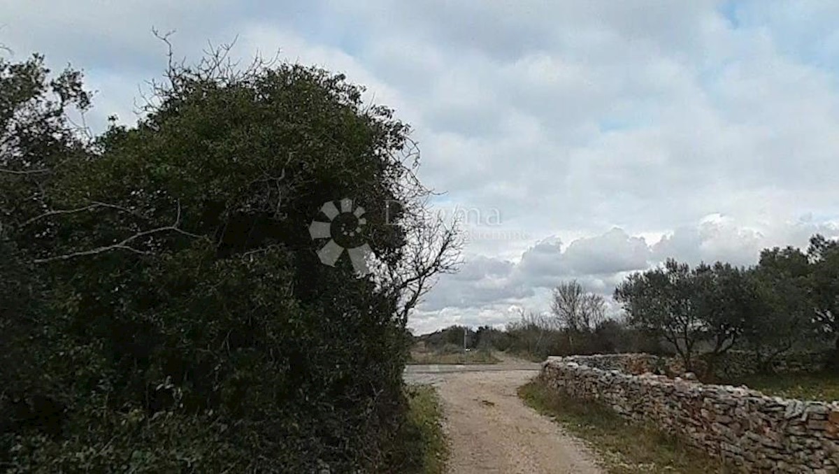 Zemljište Na prodaju - ISTARSKA FAŽANA