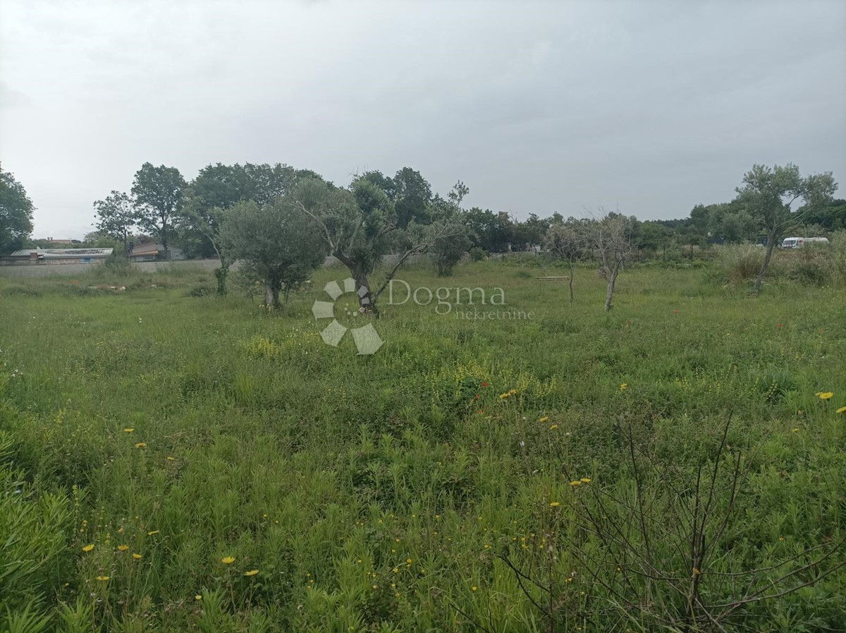 Land For sale - ISTARSKA VODNJAN