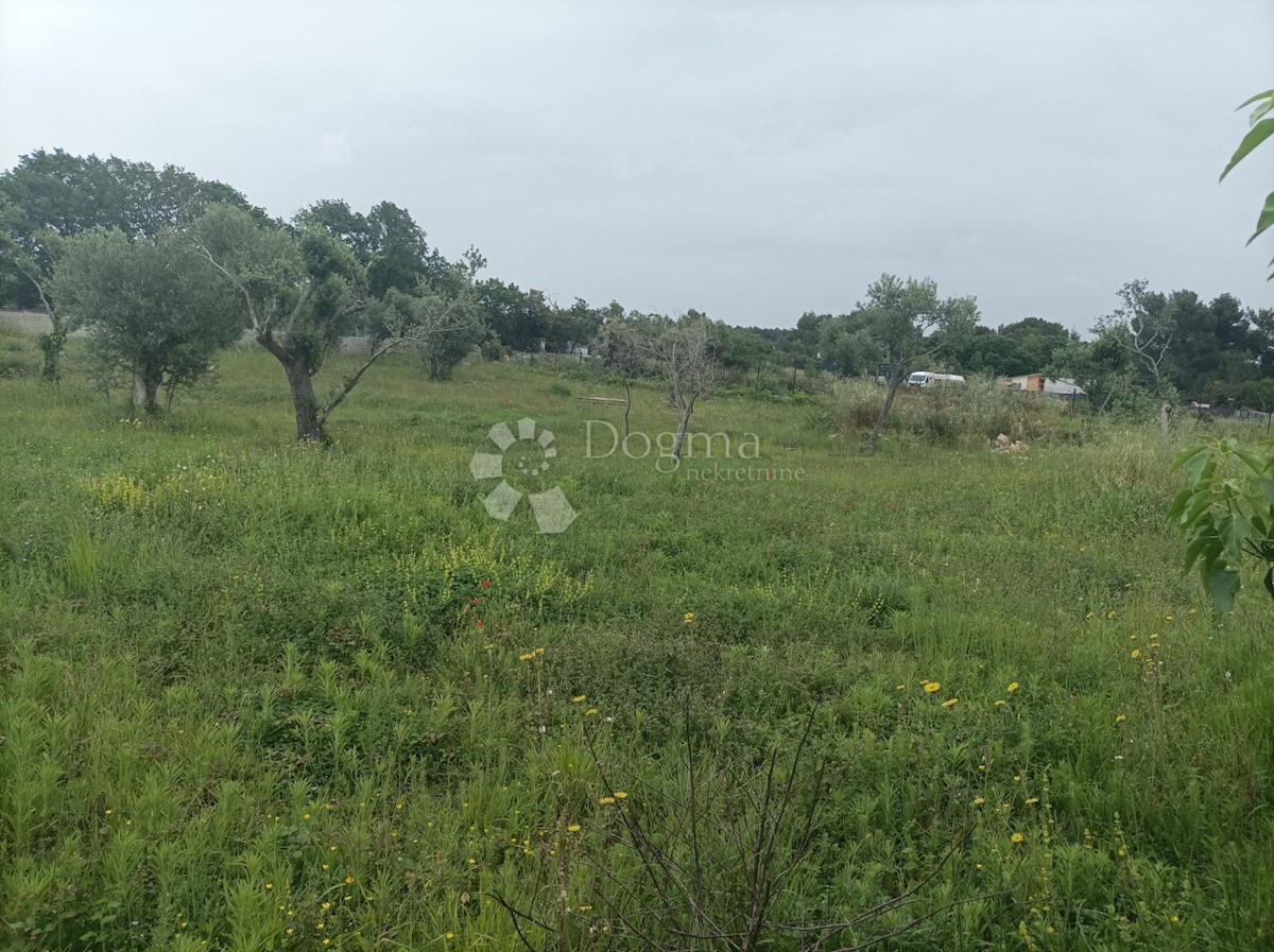 Land For sale - ISTARSKA VODNJAN