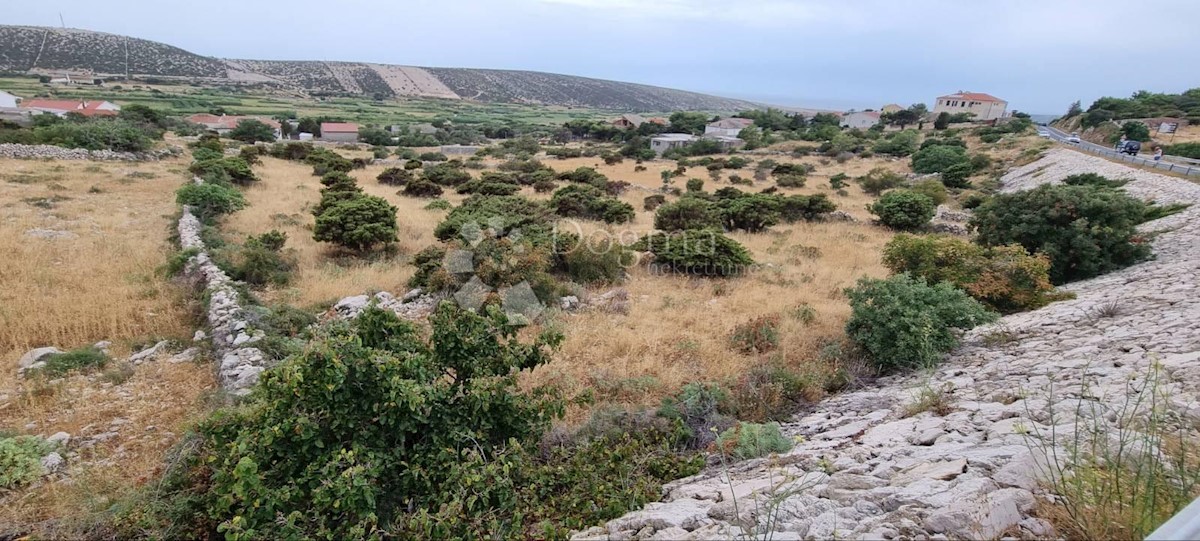 Terreno In vendita - ZADARSKA PAG