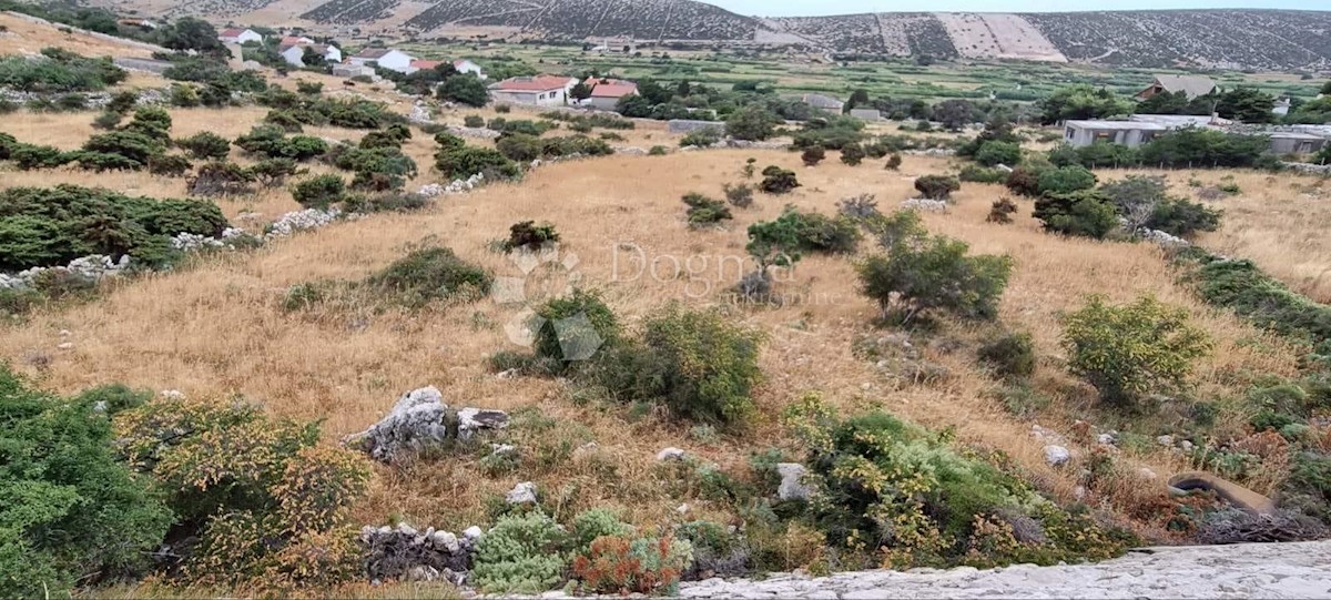 Terreno In vendita - ZADARSKA PAG