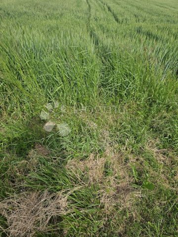 Terreno in vendita 5589 m² – Varaždin