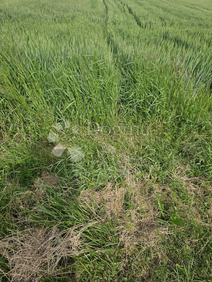 Grundstück Zu verkaufen - VARAŽDINSKA VARAŽDIN