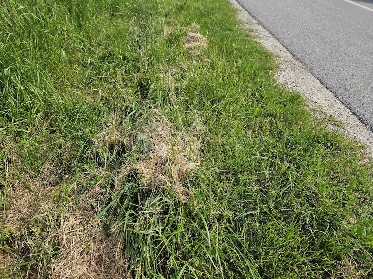 Grundstück Zu verkaufen - VARAŽDINSKA VARAŽDIN