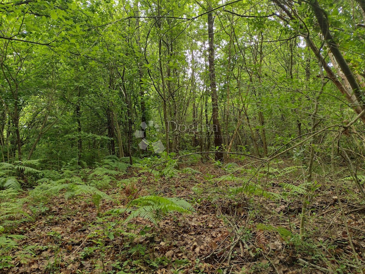 Terreno In vendita - SISAČKO-MOSLAVAČKA GVOZD