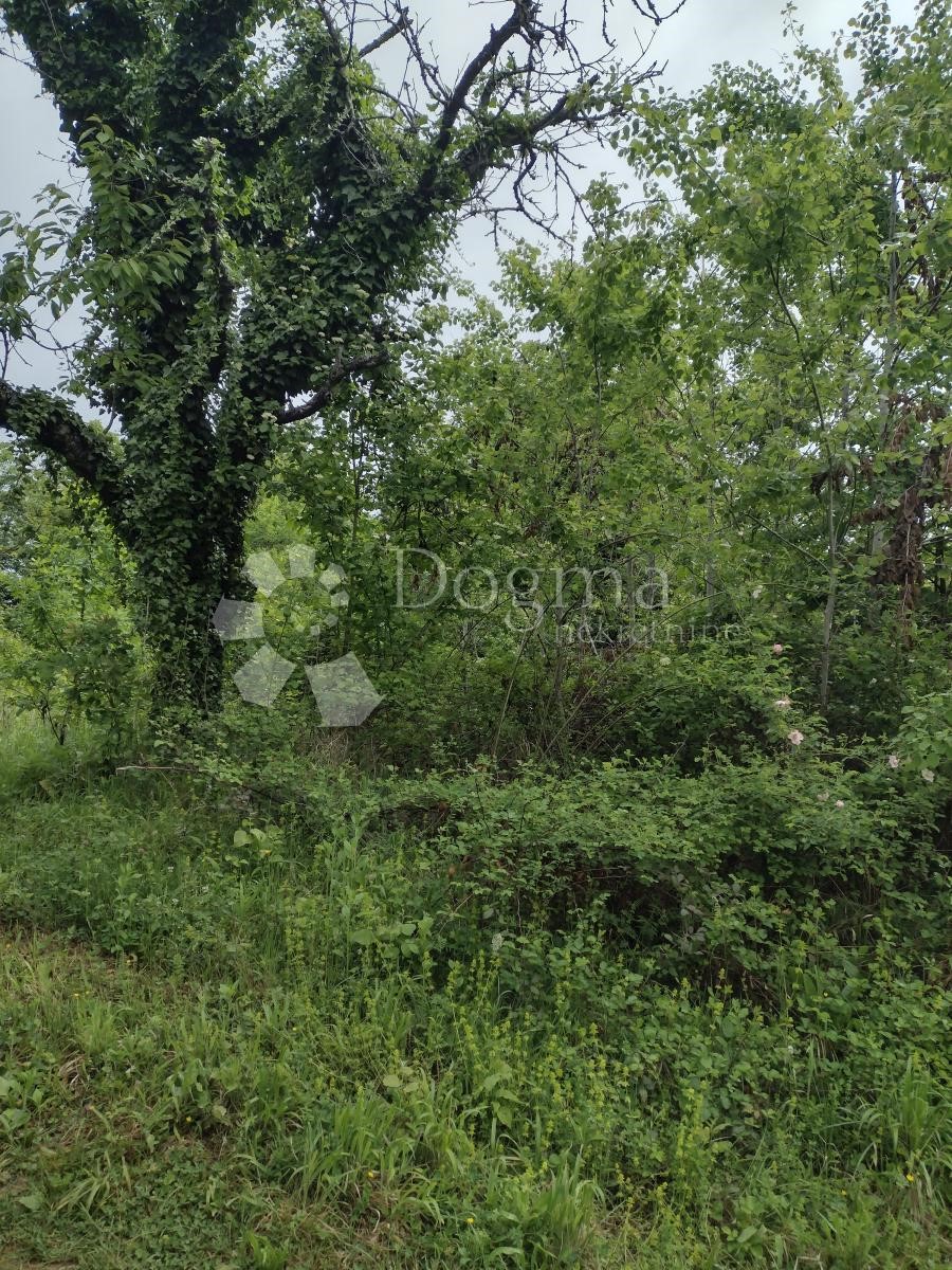 Land For sale - SISAČKO-MOSLAVAČKA GVOZD