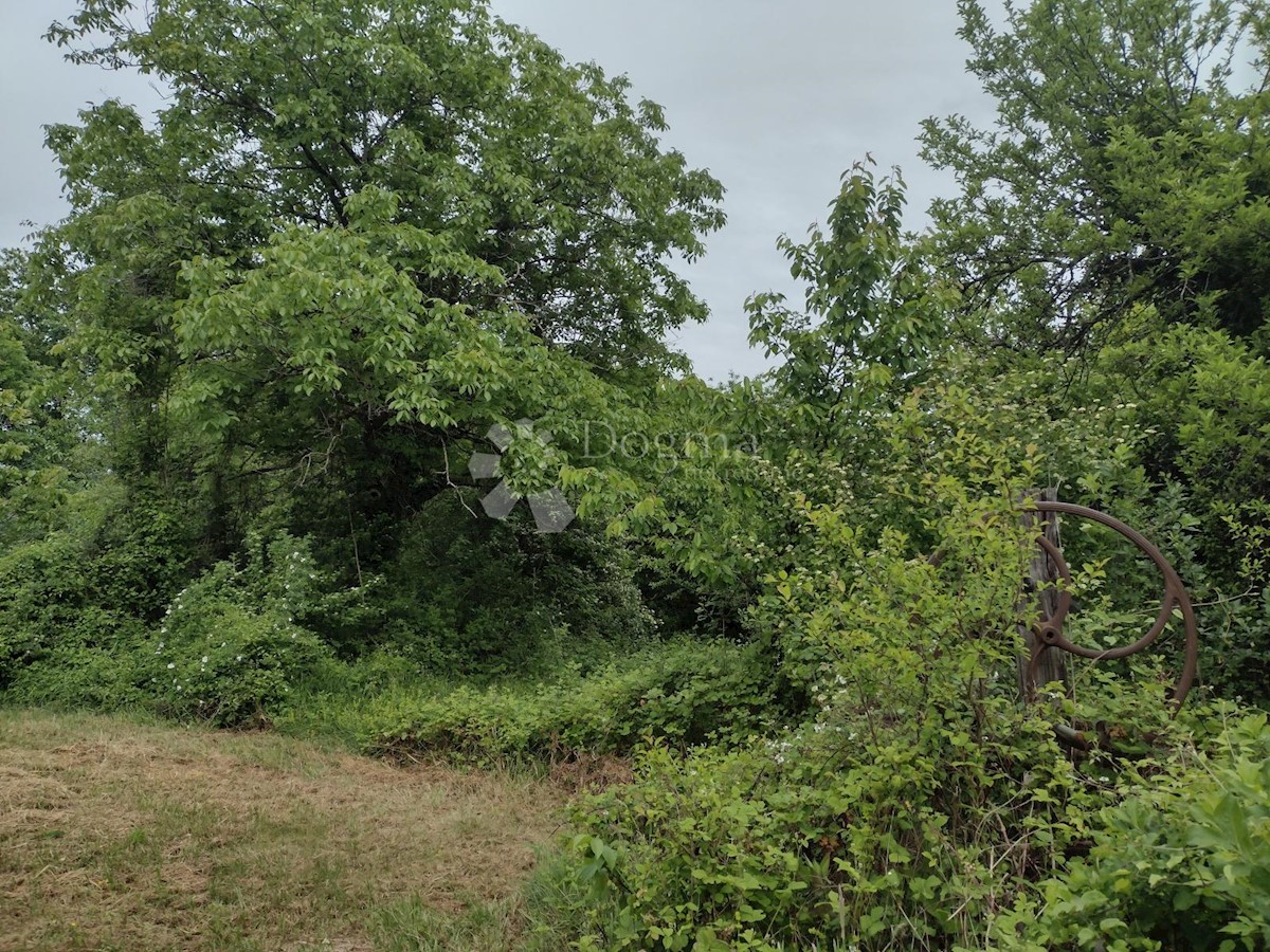 Terreno In vendita - SISAČKO-MOSLAVAČKA GVOZD