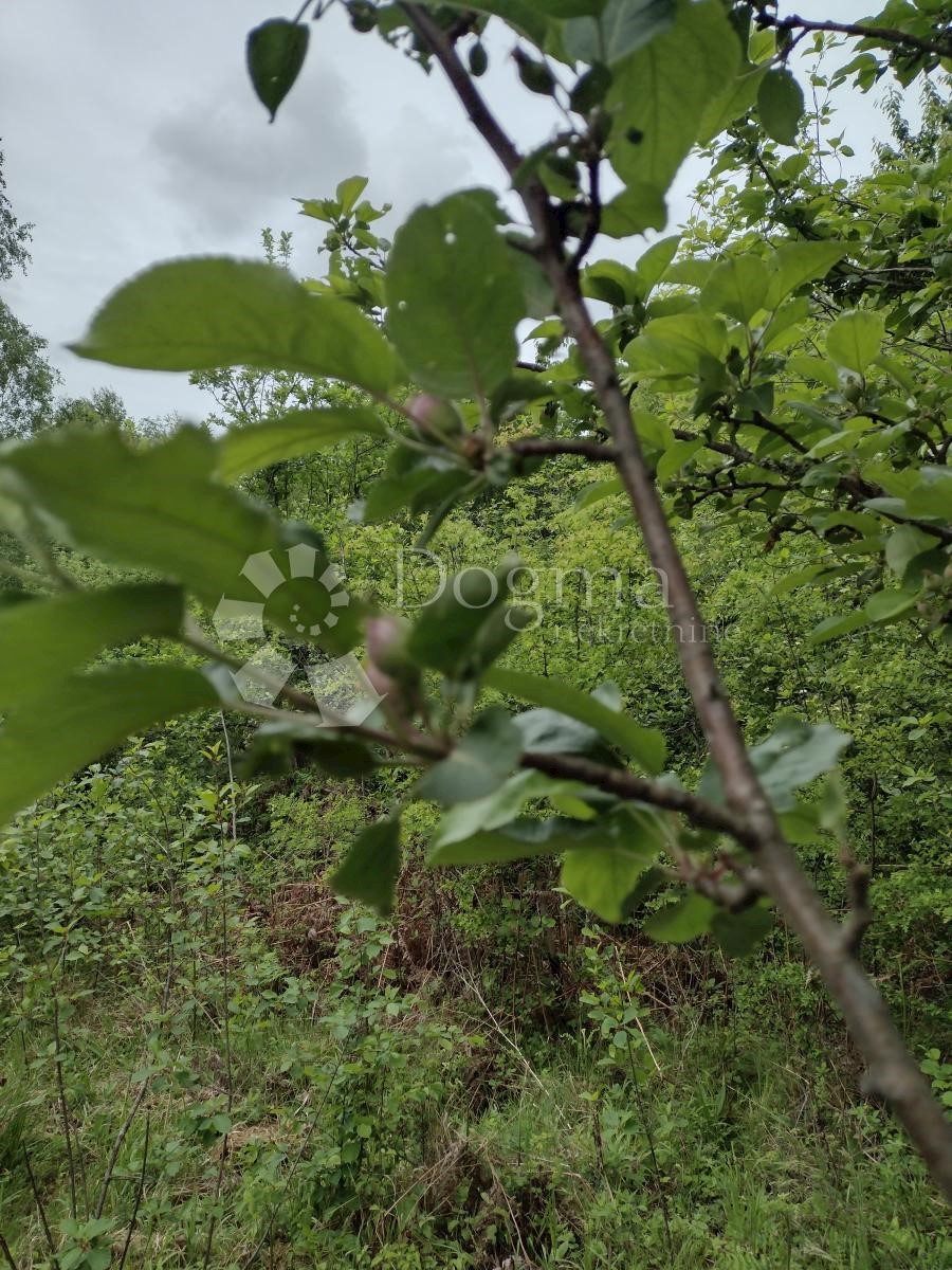 Terreno In vendita - SISAČKO-MOSLAVAČKA GVOZD