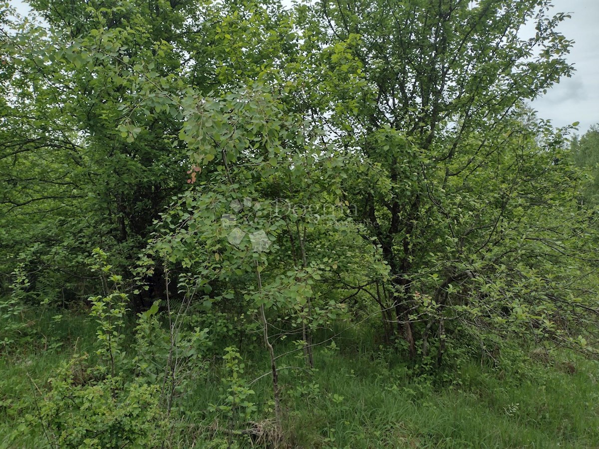 Terreno In vendita - SISAČKO-MOSLAVAČKA GVOZD