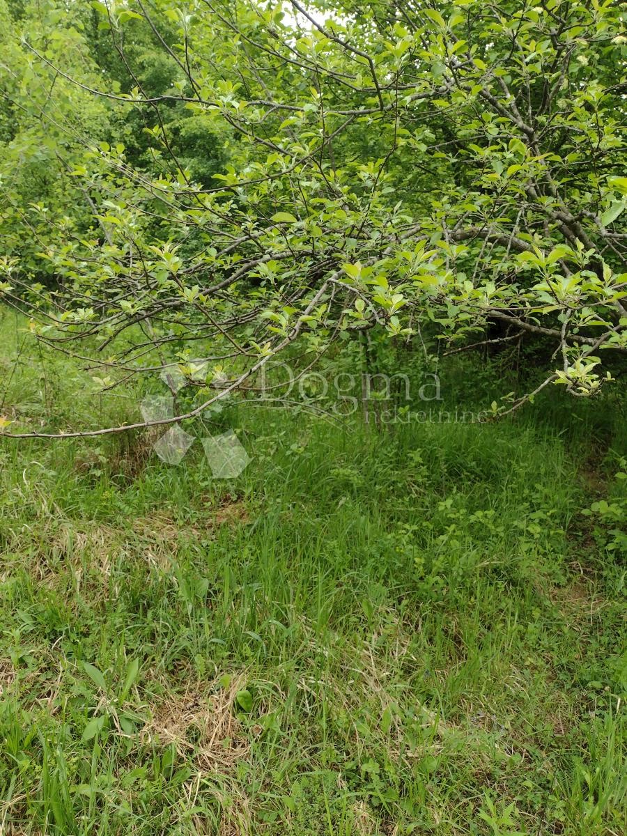 Land For sale - SISAČKO-MOSLAVAČKA GVOZD