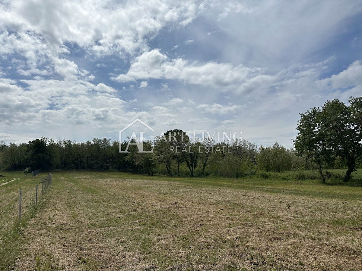 Terreno In vendita - ISTARSKA UMAG