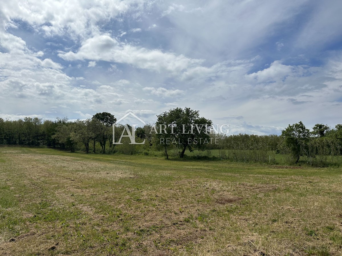 Terreno In vendita - ISTARSKA UMAG