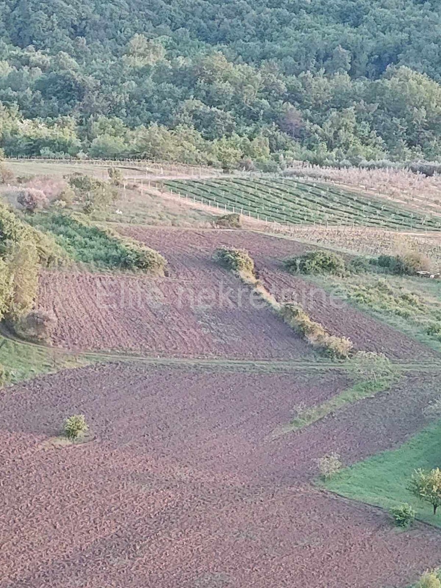 Terreno In vendita - ISTARSKA CEROVLJE