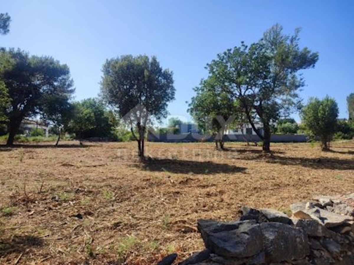 Land For sale - ISTARSKA MEDULIN