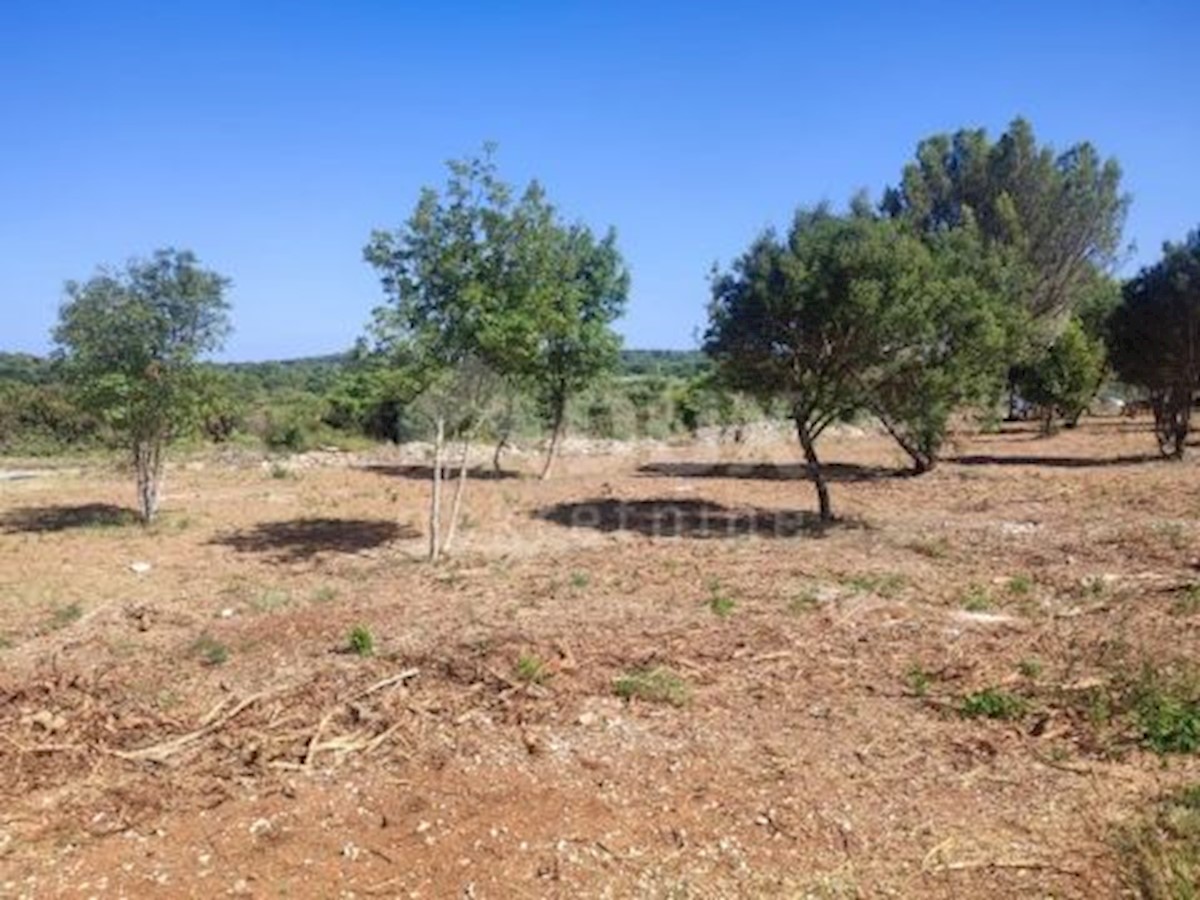 Land For sale - ISTARSKA MEDULIN