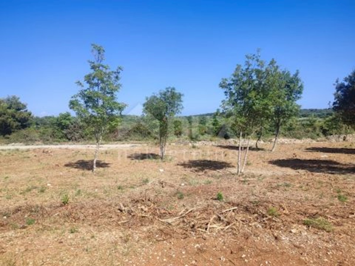 Land For sale - ISTARSKA MEDULIN