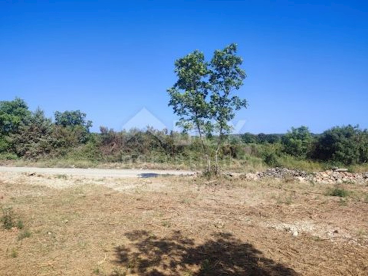 Land For sale - ISTARSKA MEDULIN