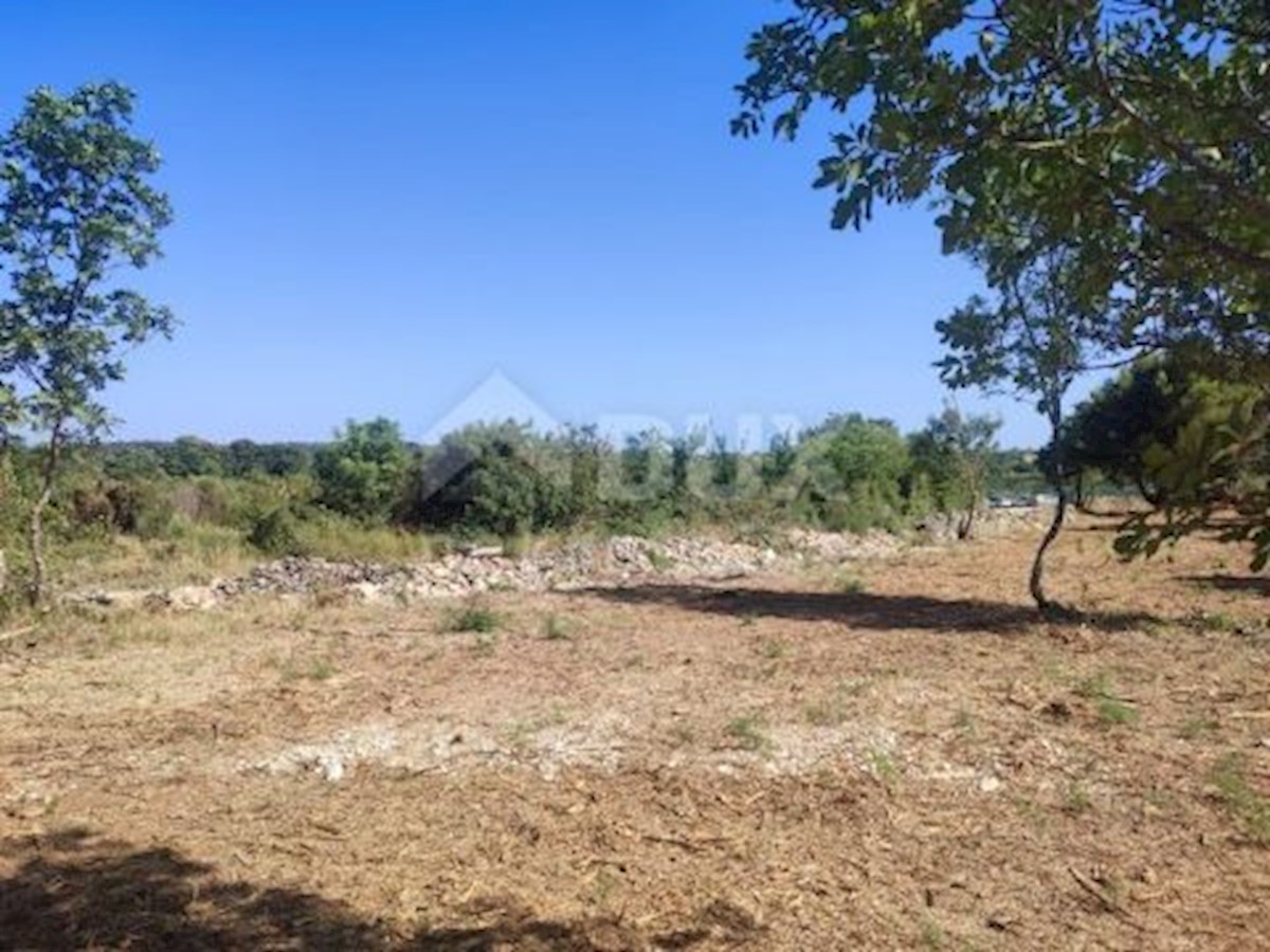 Land For sale - ISTARSKA MEDULIN