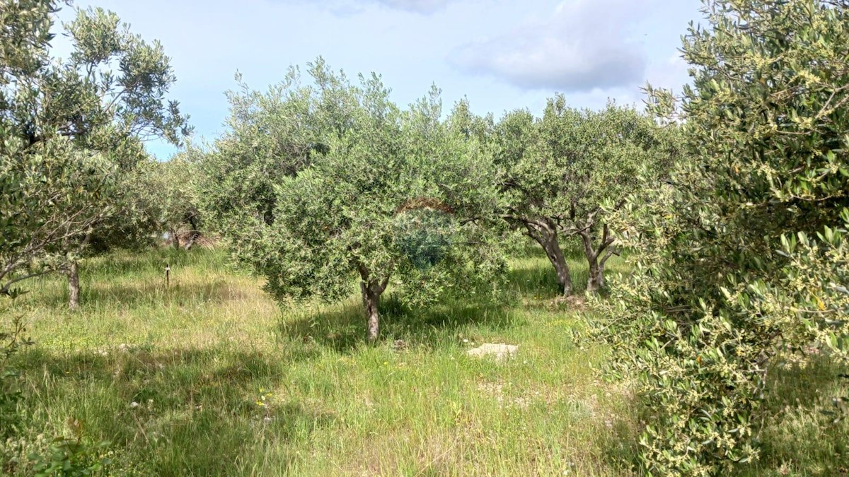 Zemljište Na prodaju - ŠIBENSKO-KNINSKA MURTER