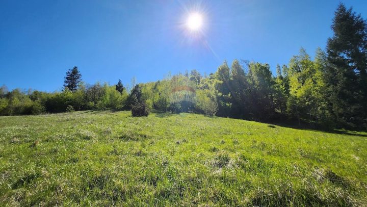 Pozemek na prodej 21911 m² – Vrata