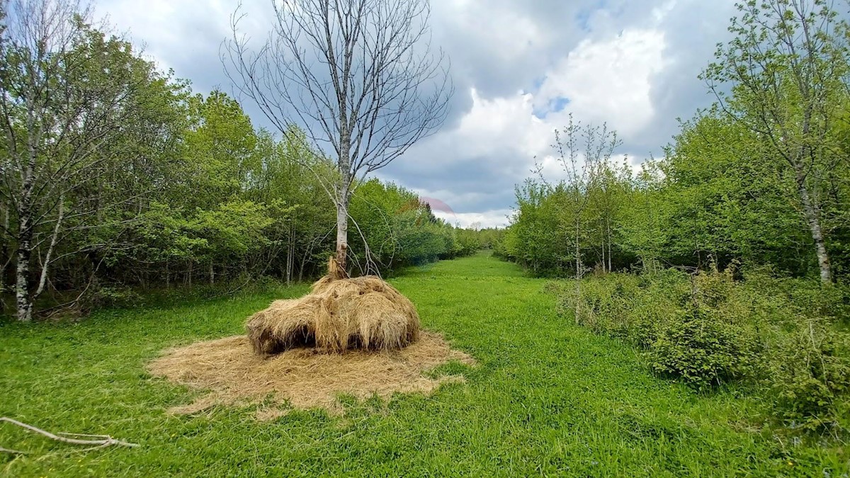 Terreno In vendita - PRIMORSKO-GORANSKA DELNICE