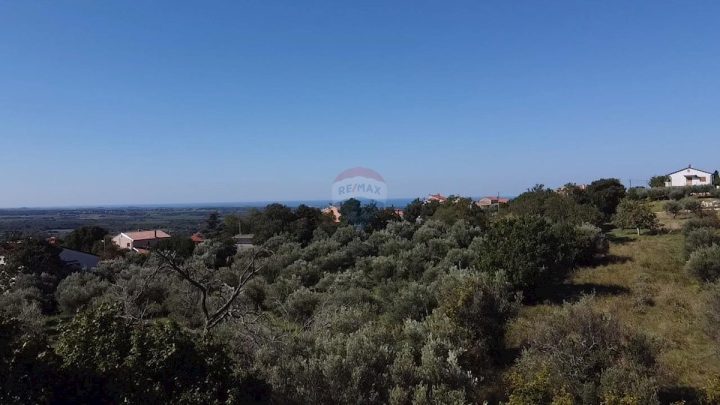 Parcela Naprodaj - Istarska Kaštelir - foto 5/5