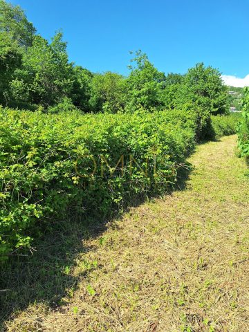 Land For sale - Primorsko-goranska Opatija - foto 4/4