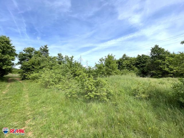 Pozemek na prodej 9352 m² – Barban
