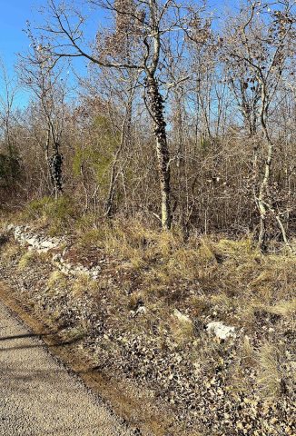 Land For sale - Istarska Buzet - foto 3/3