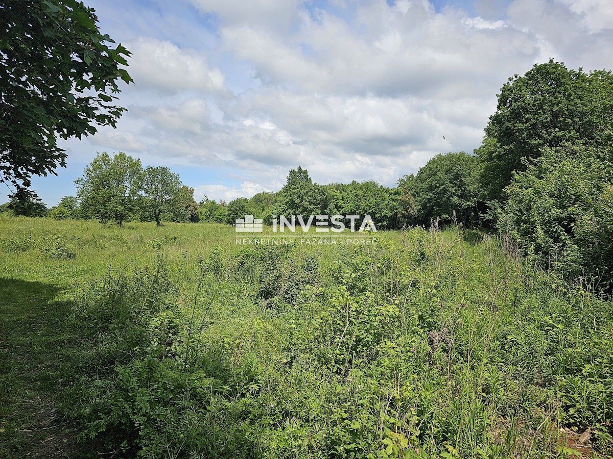 Terreno In vendita - ISTARSKA MEDULIN