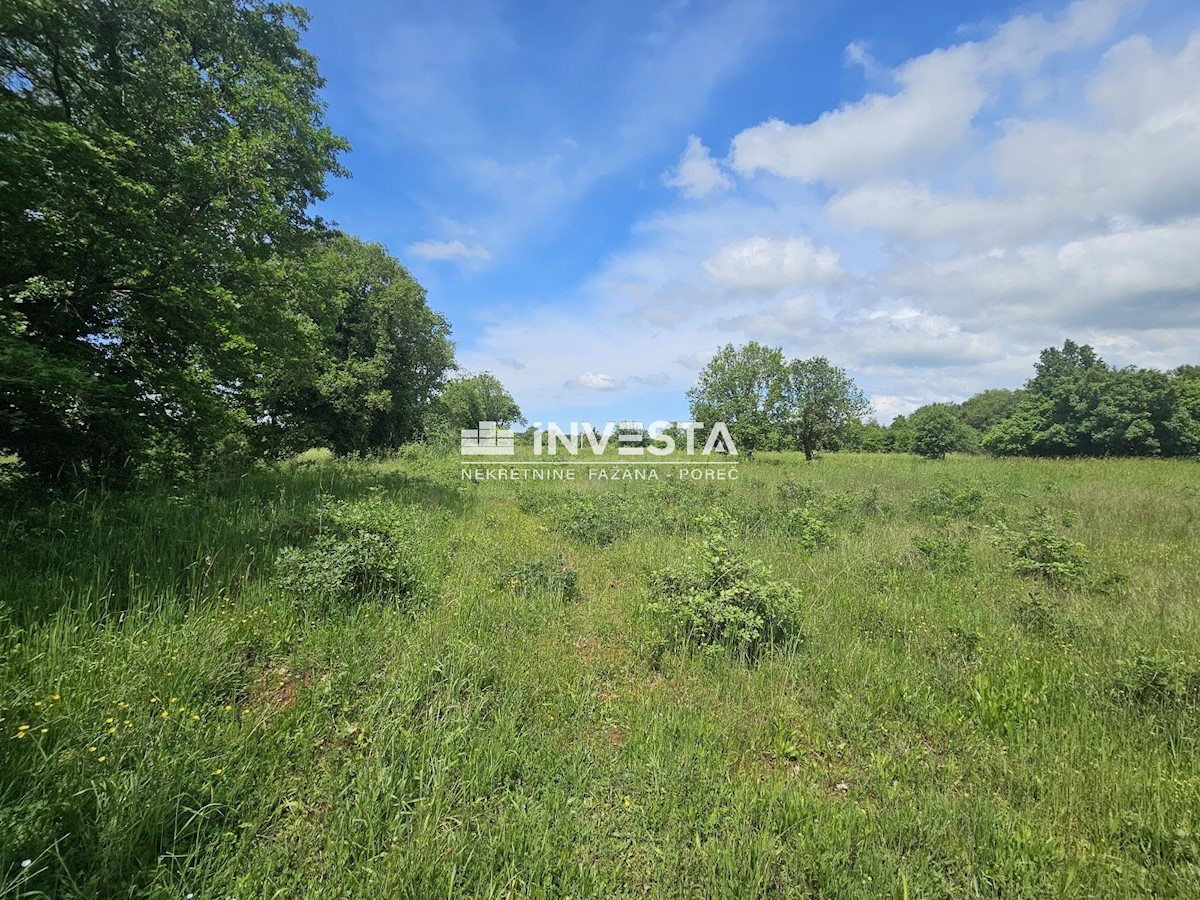 Terreno In vendita - ISTARSKA MEDULIN