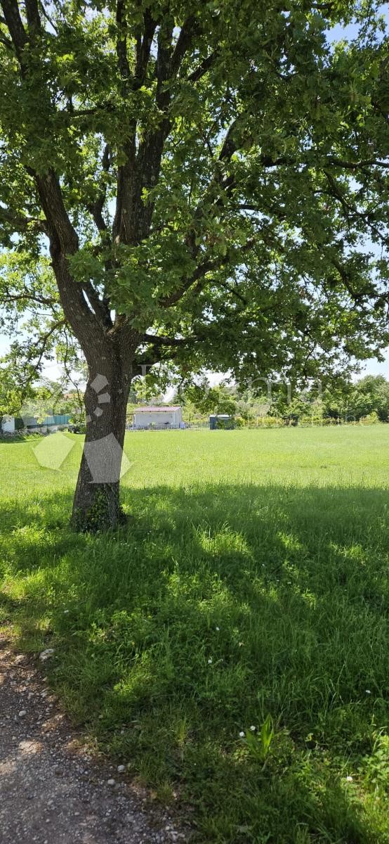 Dom Na predaj - ISTARSKA Ližnjan