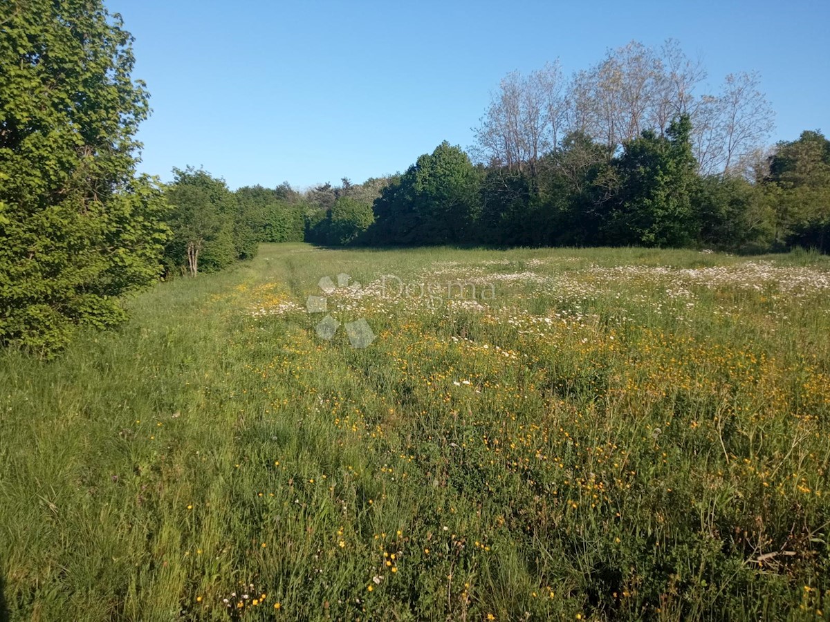 Terreno In vendita - ISTARSKA PAZIN