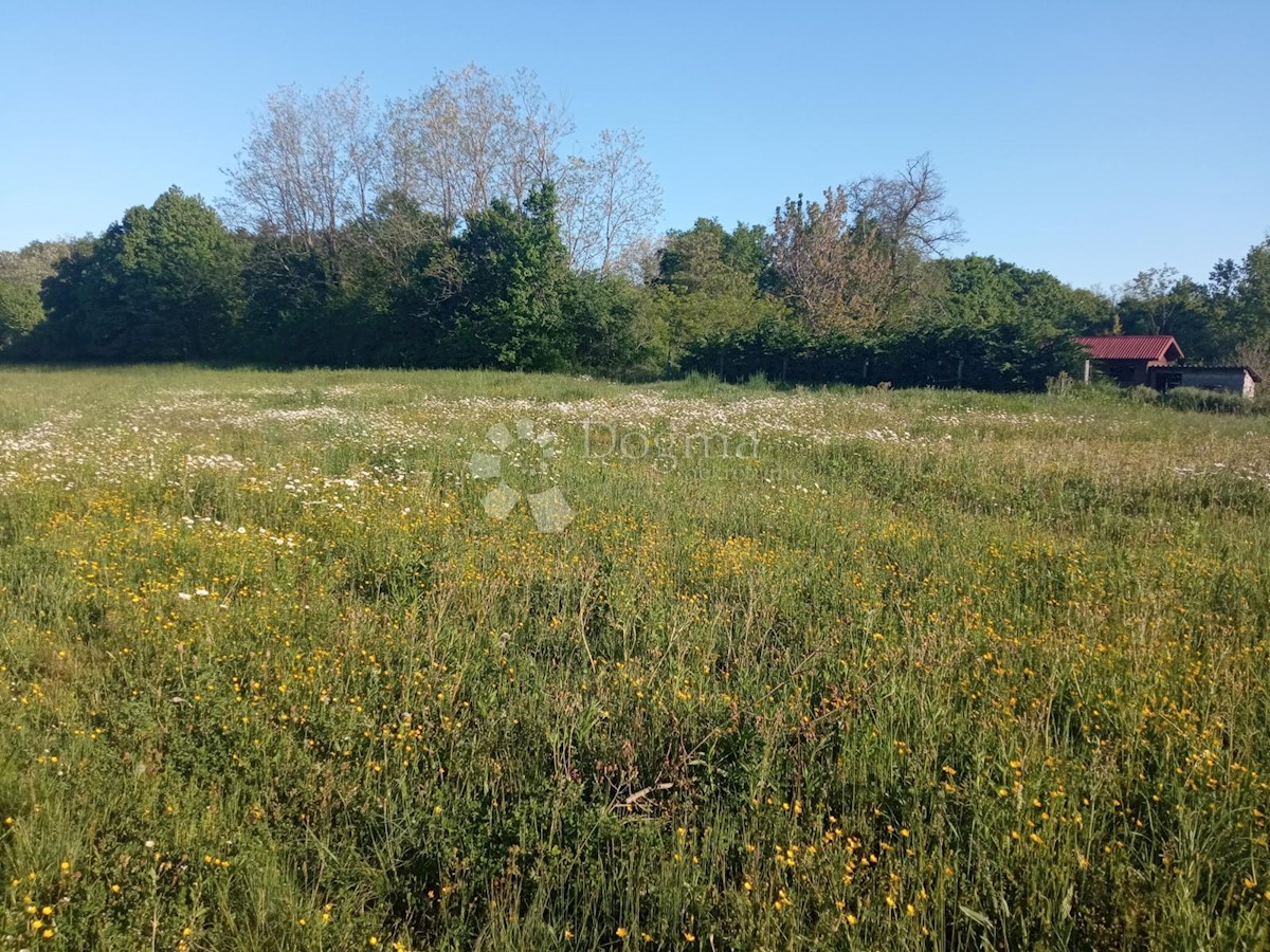 Terreno In vendita - ISTARSKA PAZIN