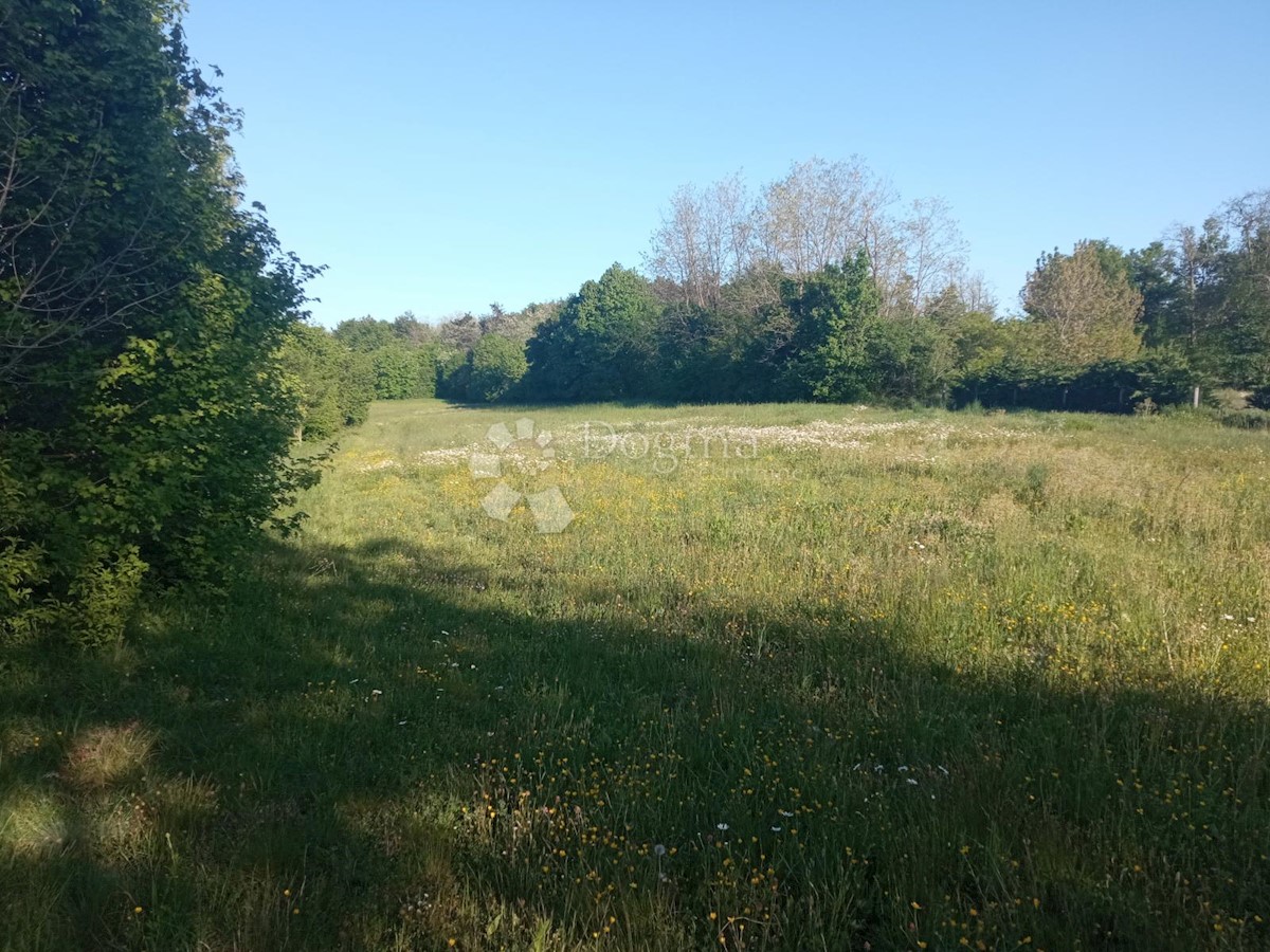 Terreno In vendita - ISTARSKA PAZIN