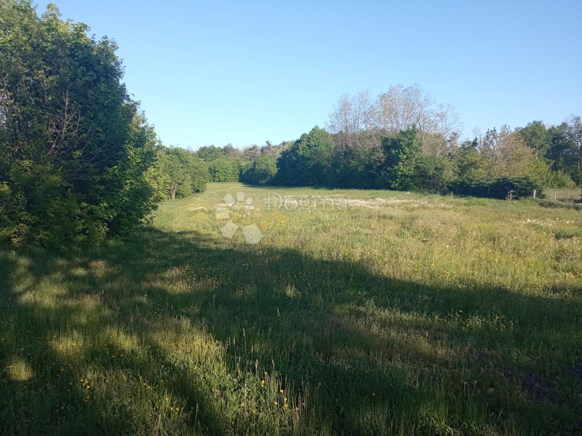 Pozemek Na prodej - ISTARSKA PAZIN