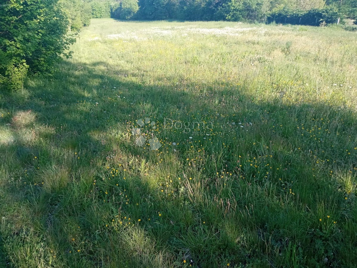 Działka Na sprzedaż - ISTARSKA PAZIN