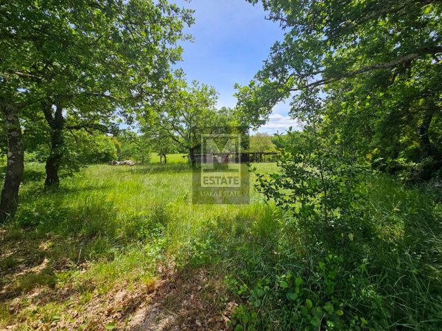 Land For sale - Istarska Umag - foto 2/3