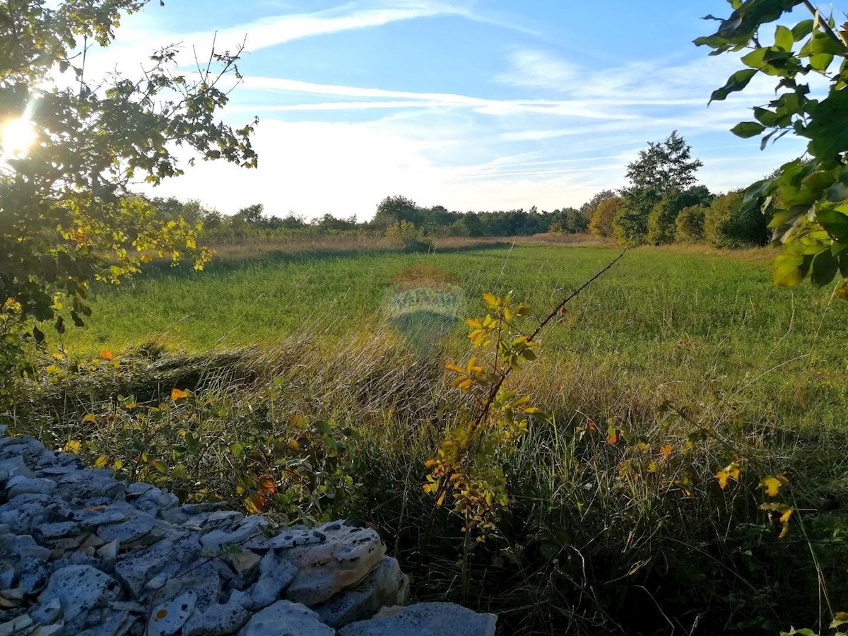 Terrain À vendre - ISTARSKA SVETVINČENAT