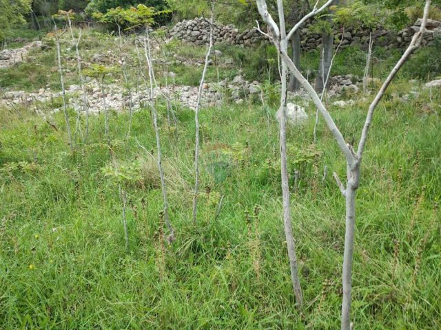 Land For sale - Primorsko-goranska Krk - foto 4/5
