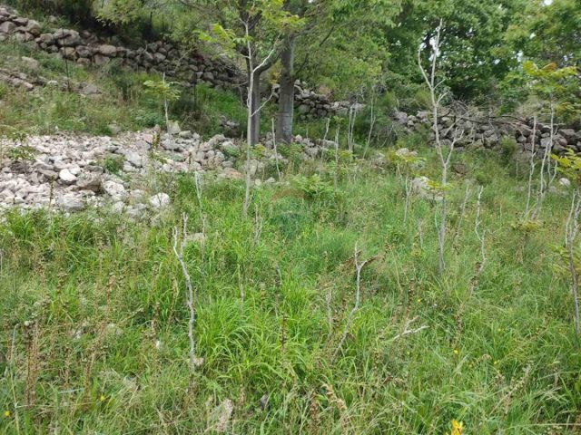 Land For sale - Primorsko-goranska Krk - foto 5/5