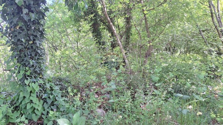 Terreno In vendita - Primorsko-goranska Kraljevica - foto 4/8