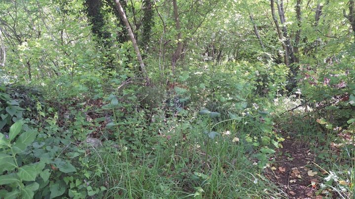 Terreno In vendita - Primorsko-goranska Kraljevica - foto 5/8