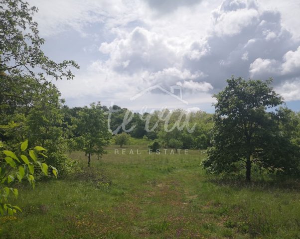 Terrain à vendre 1448 m² – Labin